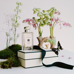 Jo Malone Employee rewards Icon